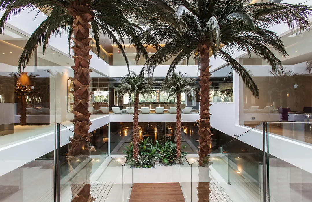 The Oasis By Don Carlos Resort (Adults Only)-1
